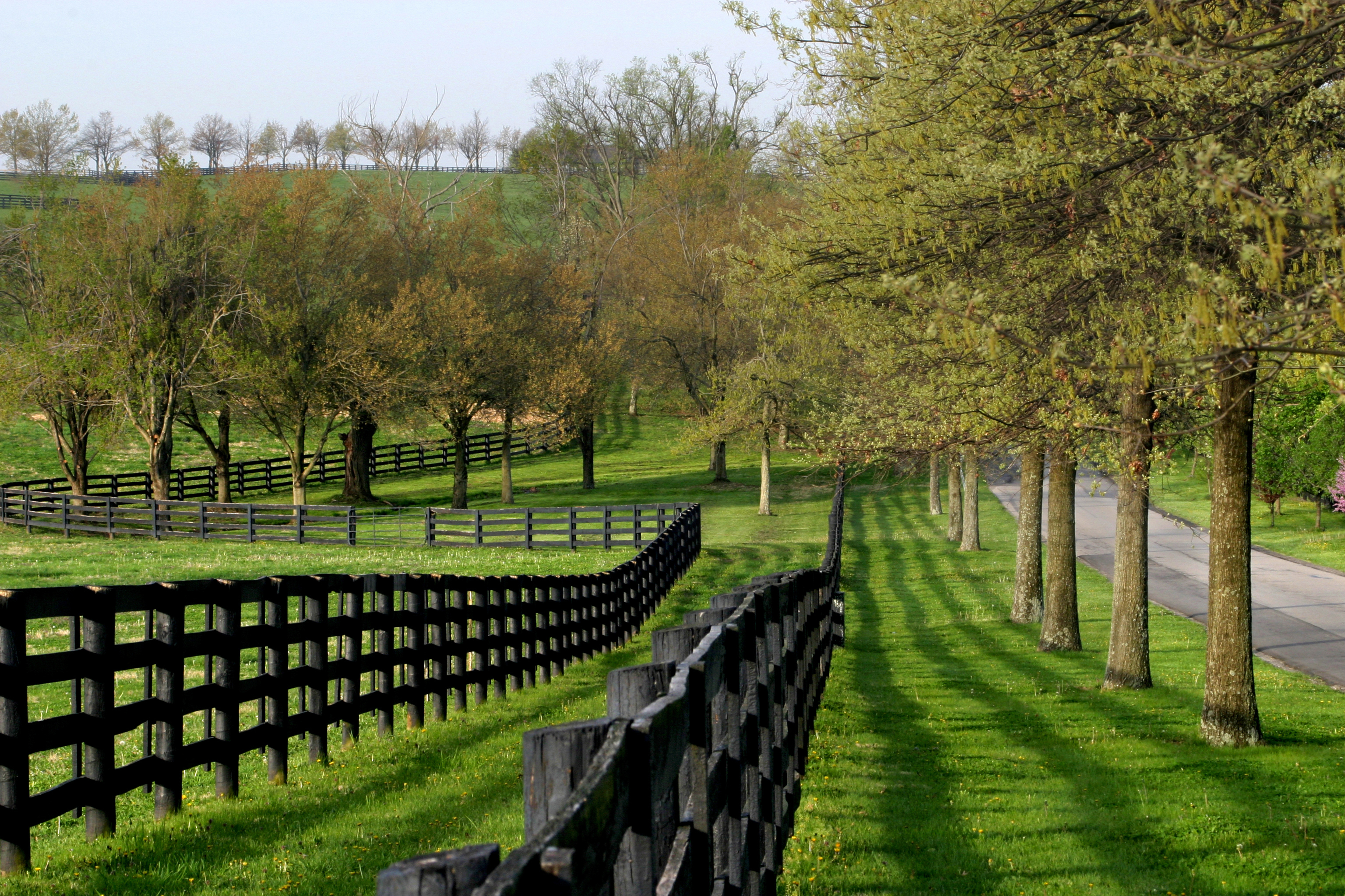 Fence Line and Lane